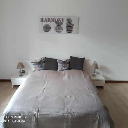 Les Mimosas Apartment La Bresse Ngoại thất bức ảnh